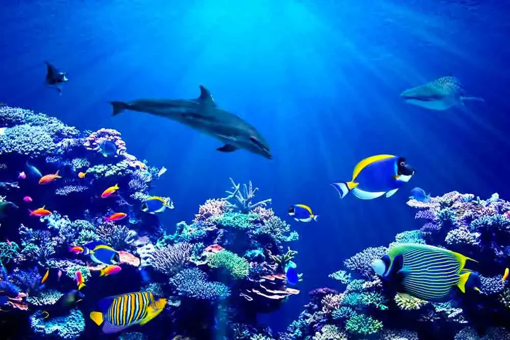 A vibrant underwater scene with colorful coral, diverse tropical fish, and a dolphin swimming gracefully in blue waters.